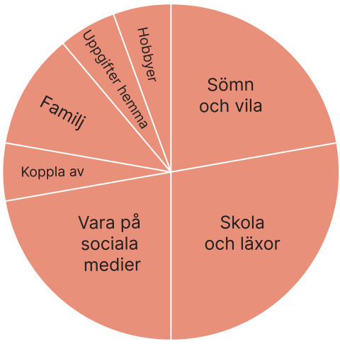 Cirkeln av tidsanvändning