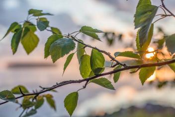 Seksualisuus-ja-sukupuoli