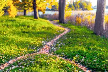 Koristekuva, kaksi polkua, jotka yhdistyvät yhdeksi.